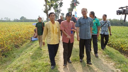 Wamentan Luncurkan Program Revitalisasi Sawit di Bengkulu